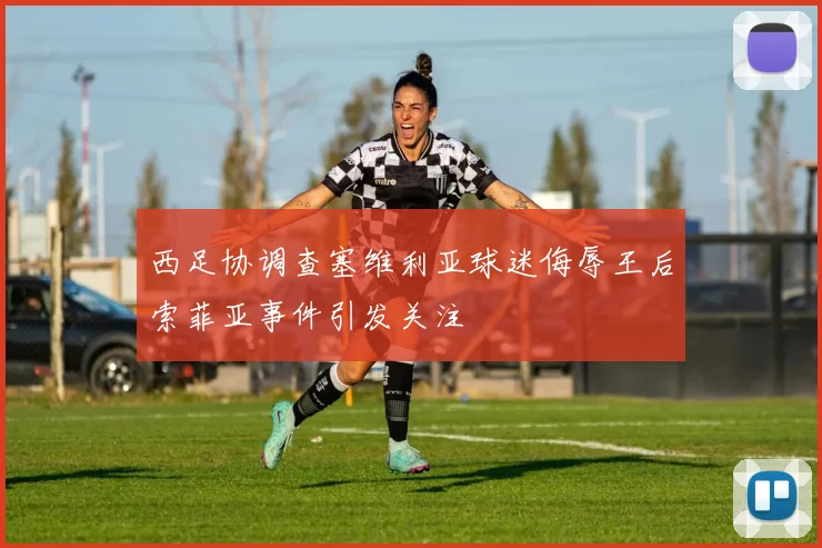 西足协调查塞维利亚球迷侮辱王后索菲亚事件引发关注